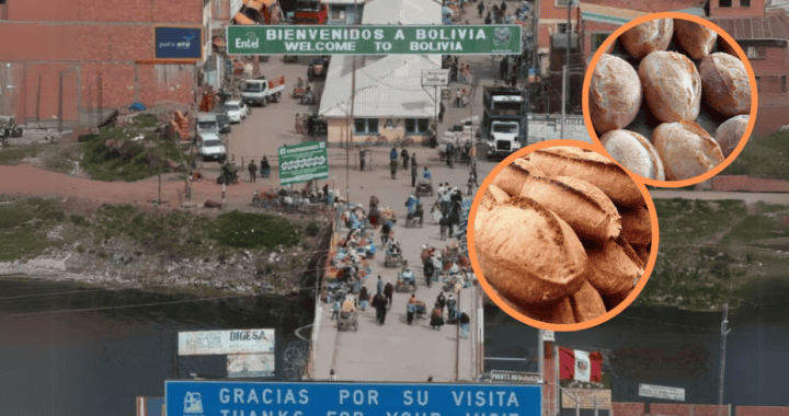 Semillas andinas de Bolivia, cultura agrícola tradicional, alimentos autóctonos, productos de Bolivia, semillas nativas orgánicas.