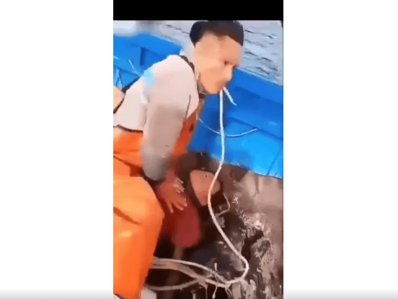 Muerto de frío en embarcación, niño con camiseta y overol naranja, agua y cuerdas en ambiente acuático, noticia impactante de Loreto Noticias en Perú.