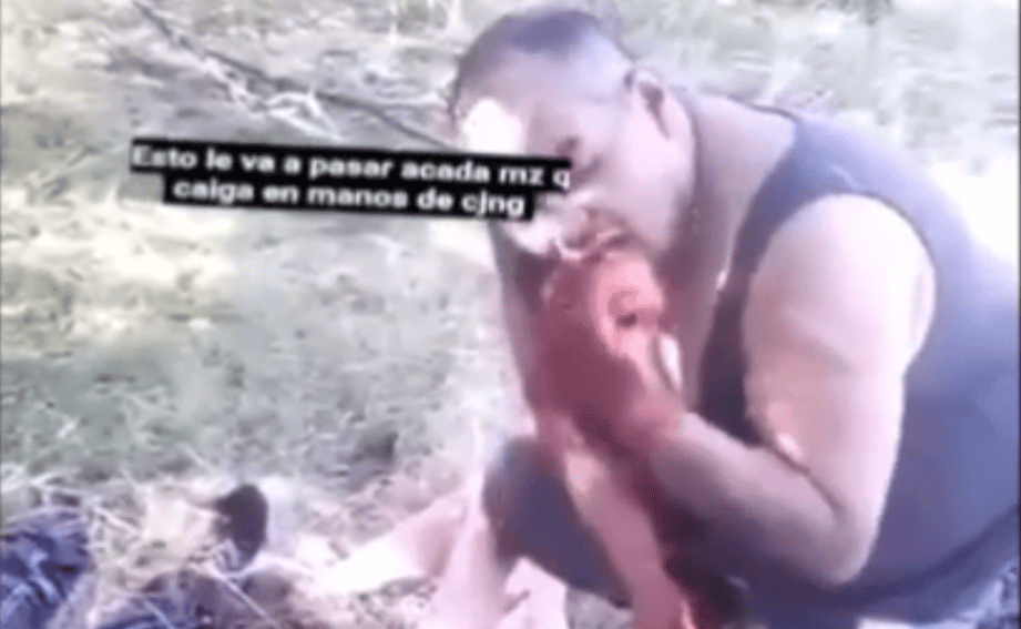 Muerto de un animal capturado en campo abierto, escena de caza en Loreto Noticias.