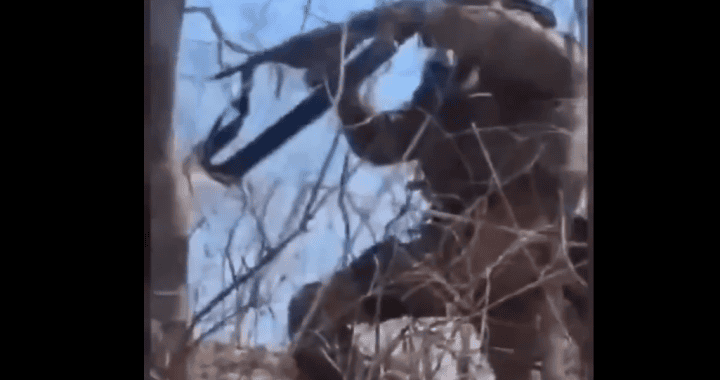 Campeón de escalada en árboles en Loreto, Perú, ascendiendo con equipo especializado en un entorno natural de bosque con ramas y cielo visible.