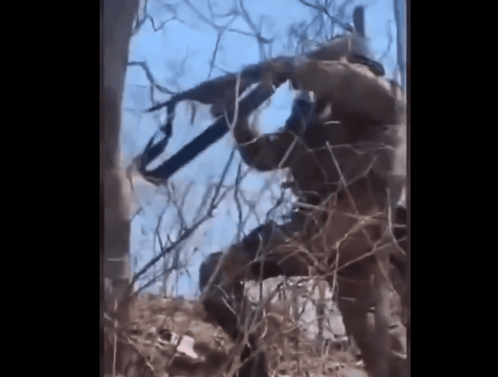Campeón de escalada en árboles en Loreto, Perú, ascendiendo con equipo especializado en un entorno natural de bosque con ramas y cielo visible.