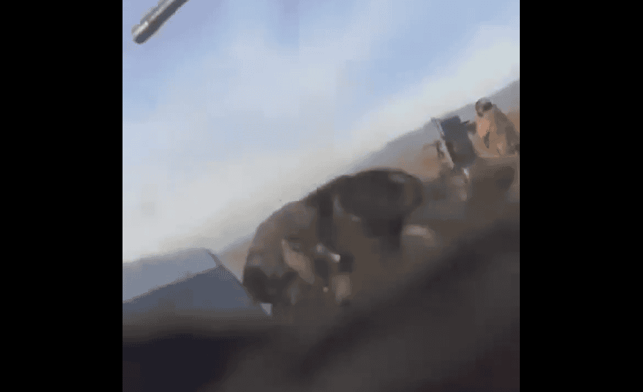 Camión volcado en carretera de Loreto, accidente vial en Perú, noticias de Loreto.