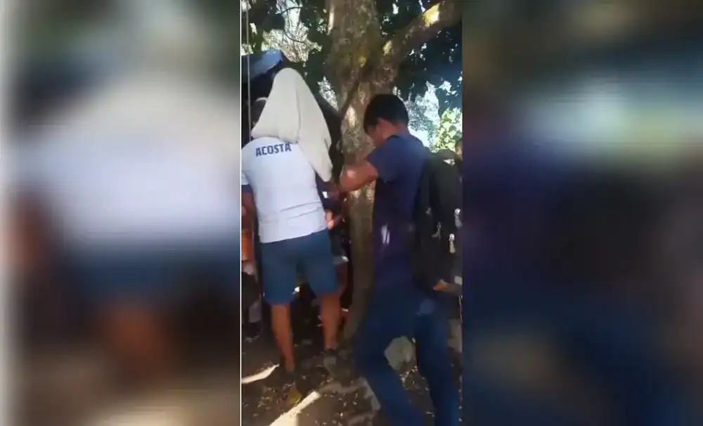 Asa en la vía pública en Loreto, Perú, accidentados por caída de árbol durante un fenómeno climático, rescatados por autoridades locales.