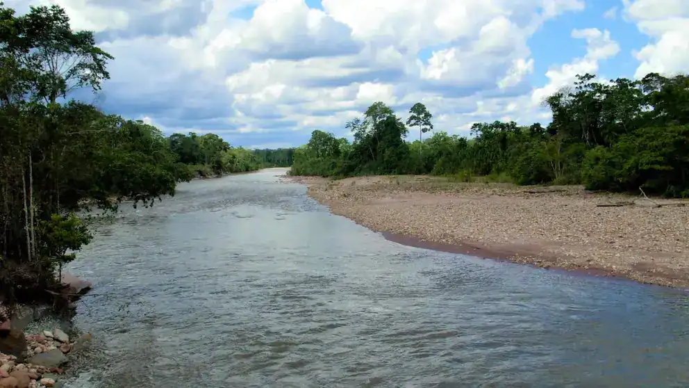 Río Loreto en medio de la selva peruana, rodeado de árboles verdes y cielo parcialmente nublado, resaltando la belleza natural y la biodiversidad de Loreto Noticias.
