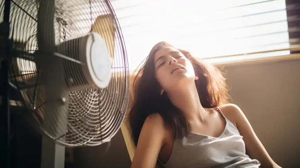 - Ventilador de pie en una habitación con luz natural, creando un ambiente fresco y cómodo.