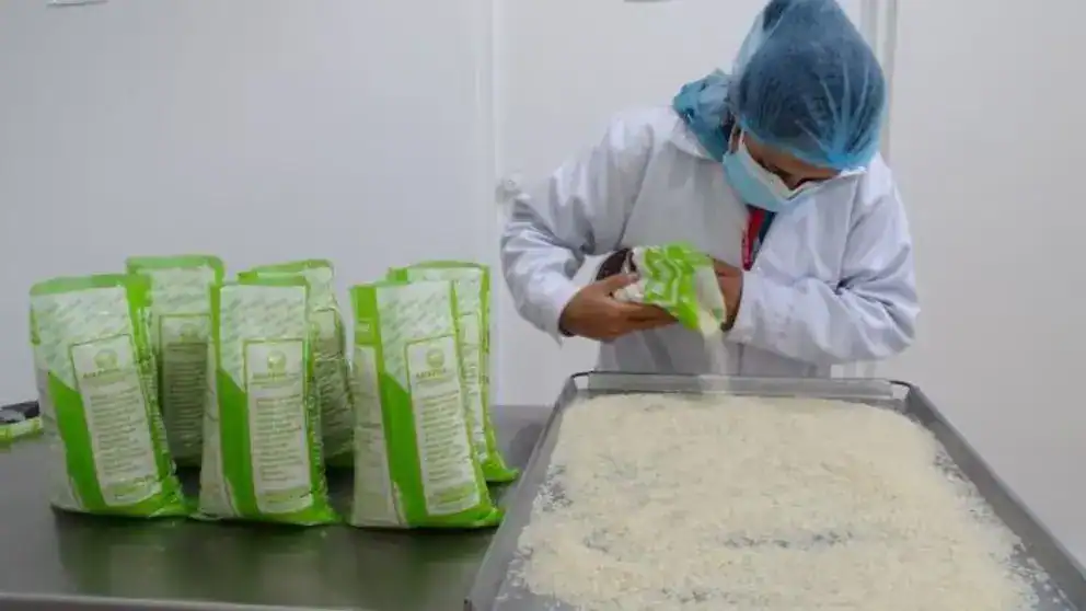Harina de arroz para consumo industrial y familiar, en proceso de certificación en laboratorio de Loreto Noticias.