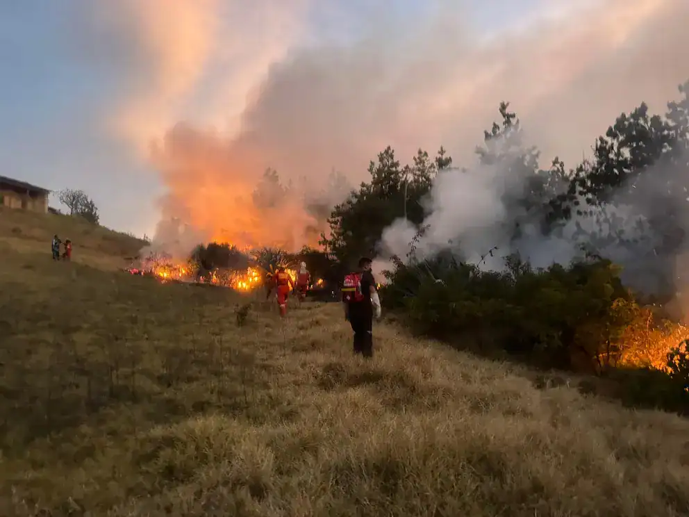Incendio forestal en Loreto, emergencia y protección civil en acción en Loreto Noticias.