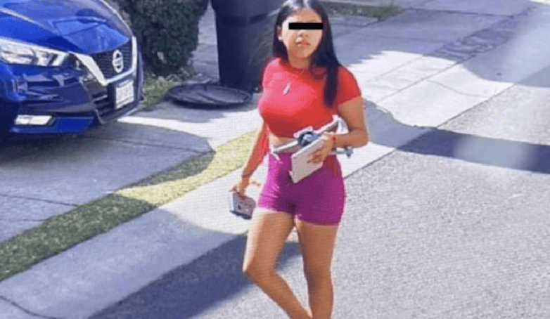 Asesoramiento en SEO:.