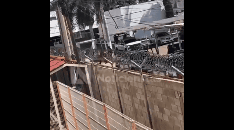 Ataque de animales salvajes a una cerca de seguridad en Loreto, Perú, generando alerta en la comunidad local y resaltando la importancia de medidas de protección en zonas rurales y urbanas.